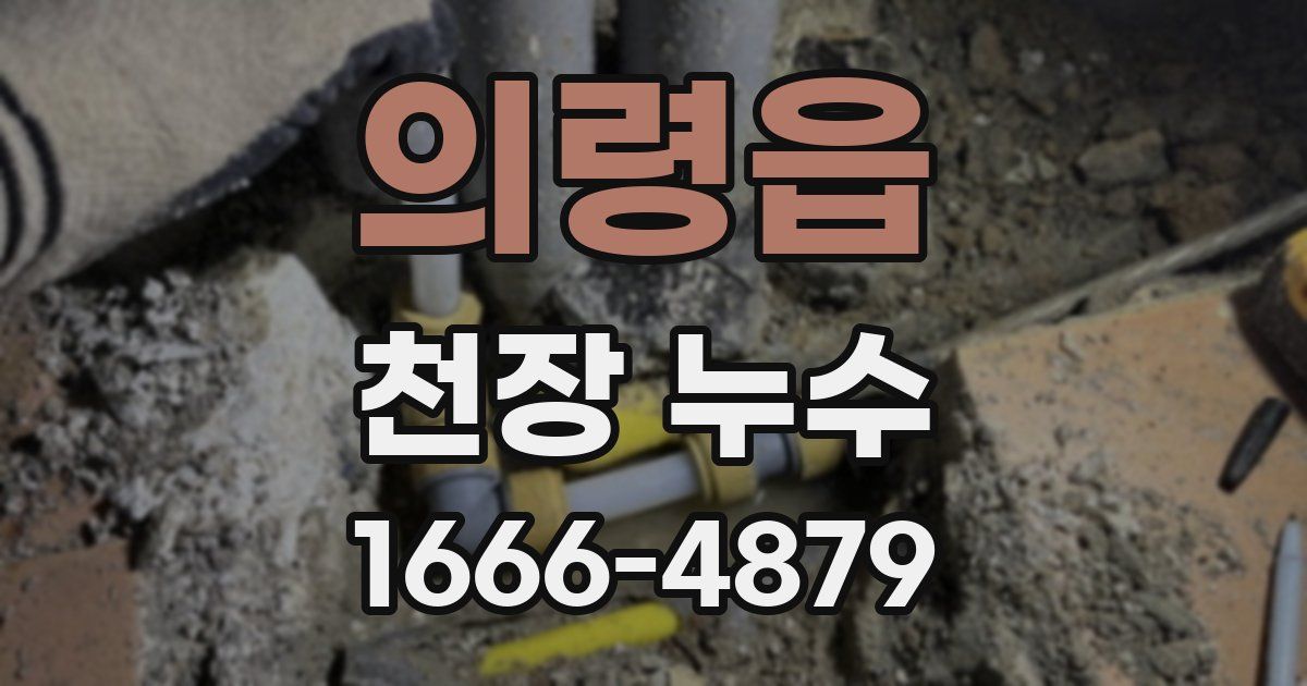 의령읍 천장 누수