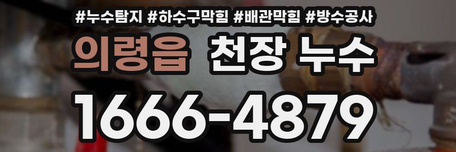 의령읍 천장 누수