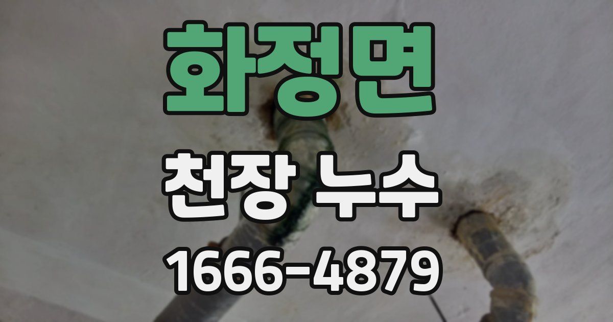 화정면 천장 누수