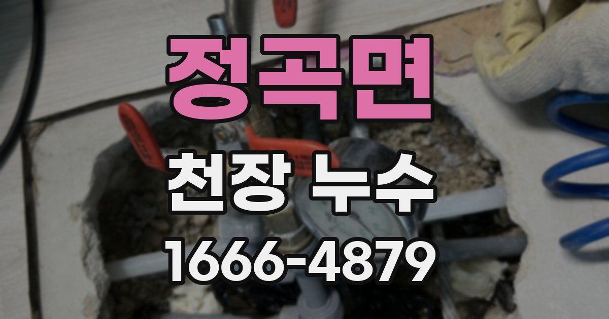 정곡면 천장 누수