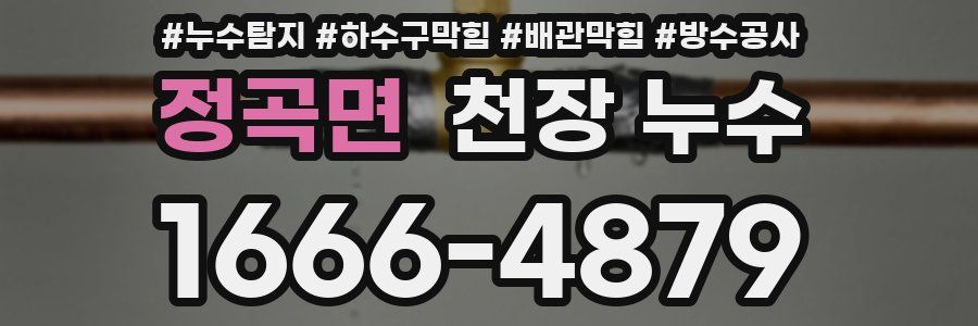 정곡면 천장 누수