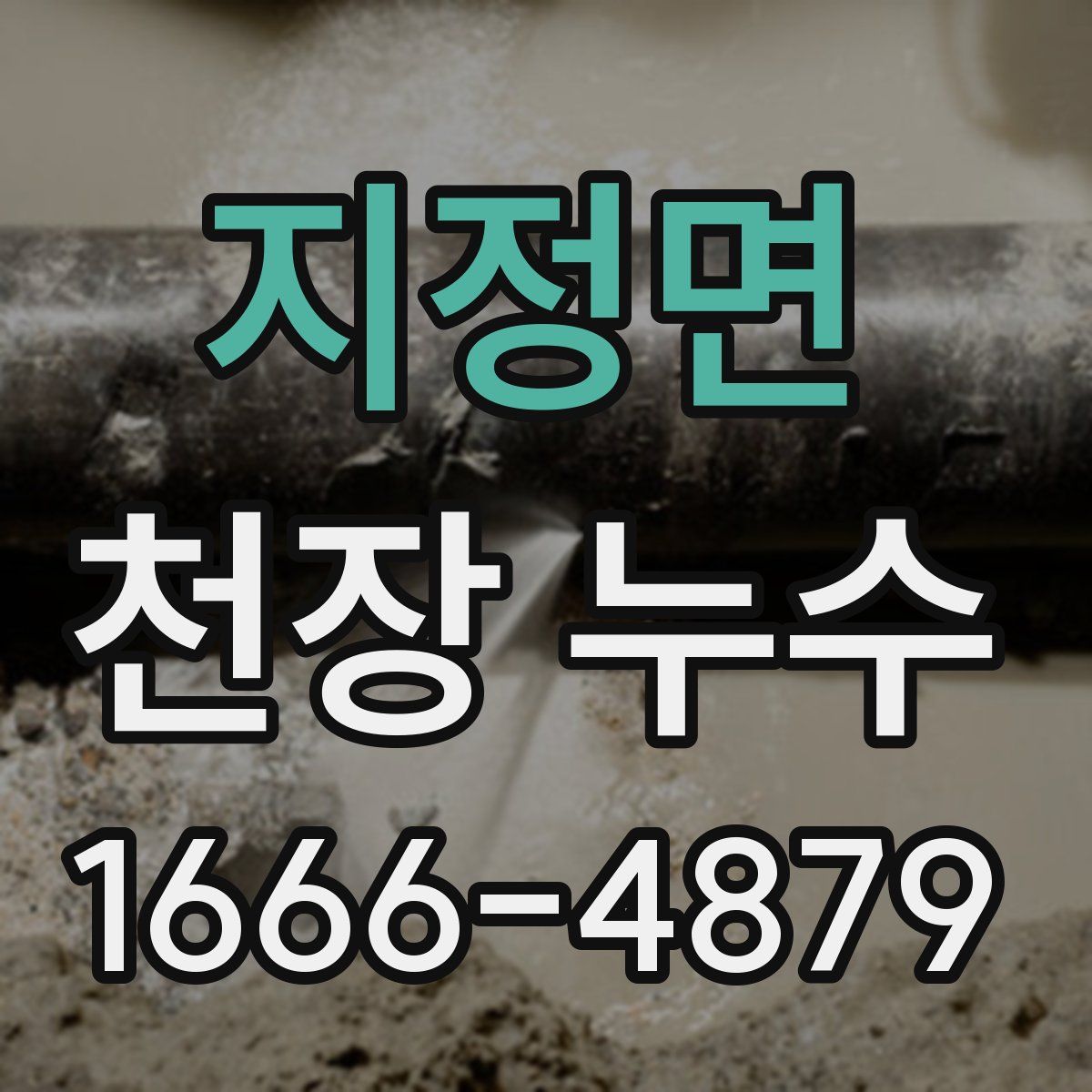 지정면 천장 누수