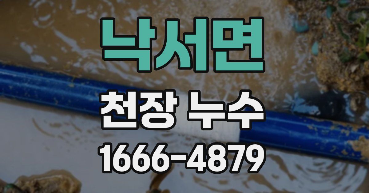 낙서면 천장 누수