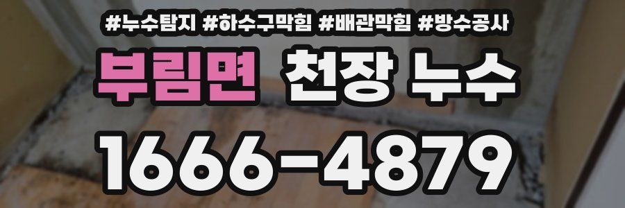 부림면 천장 누수