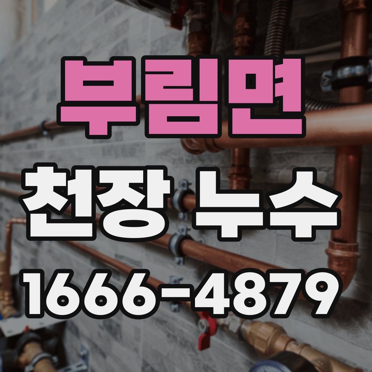 부림면 천장 누수