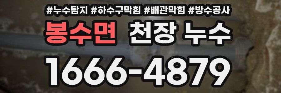 봉수면 천장 누수