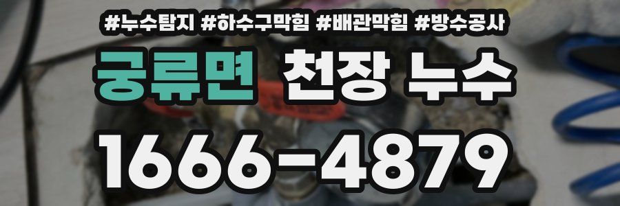 궁류면 천장 누수