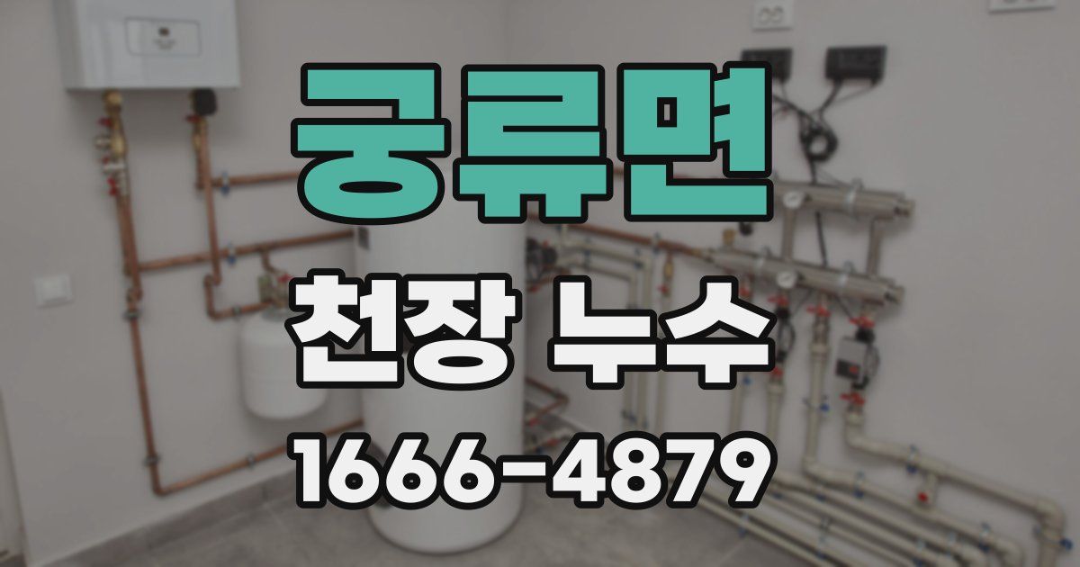 궁류면 천장 누수