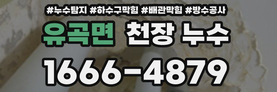 유곡면 천장 누수