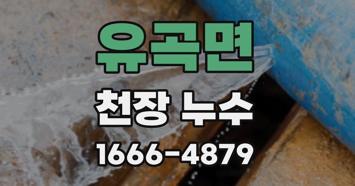유곡면 천장 누수