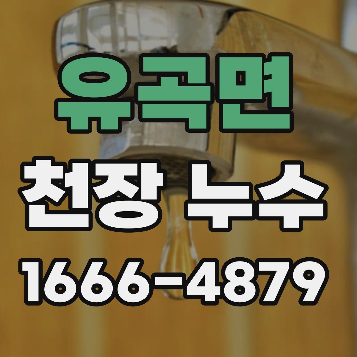 유곡면 천장 누수
