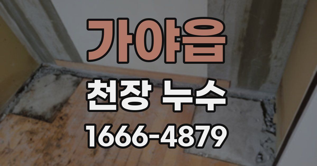 가야읍 천장 누수
