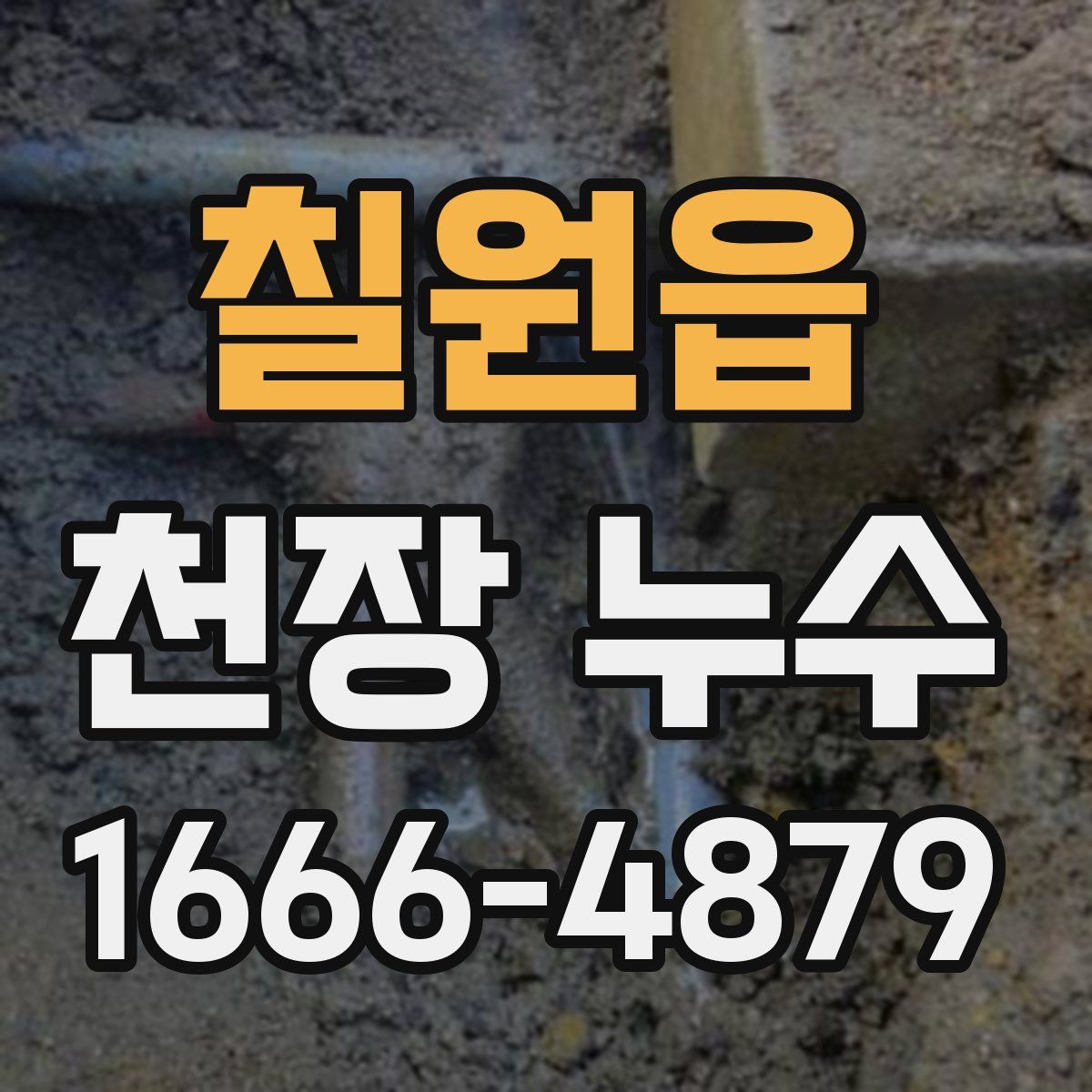 칠원읍 천장 누수