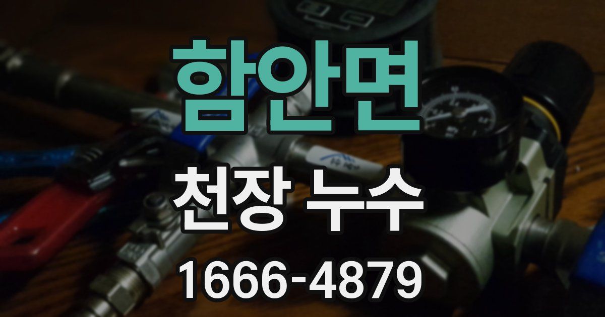 함안면 천장 누수