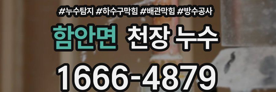 함안면 천장 누수