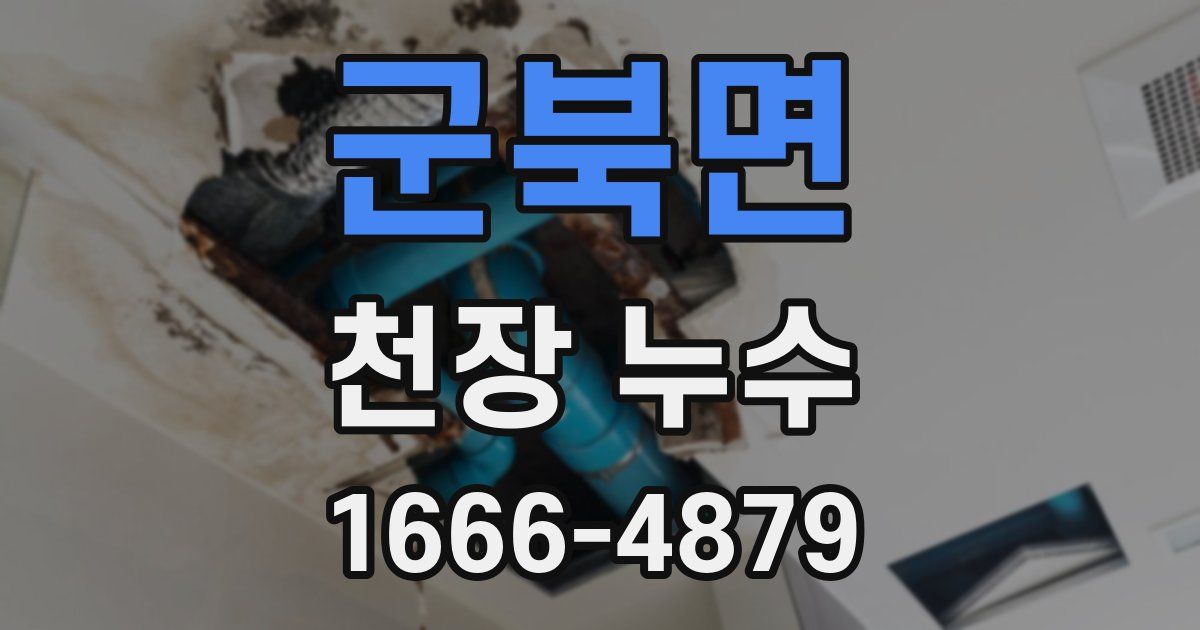 군북면 천장 누수