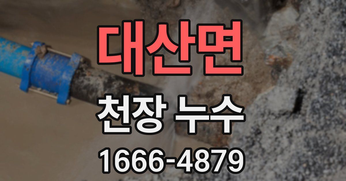 대산면 천장 누수