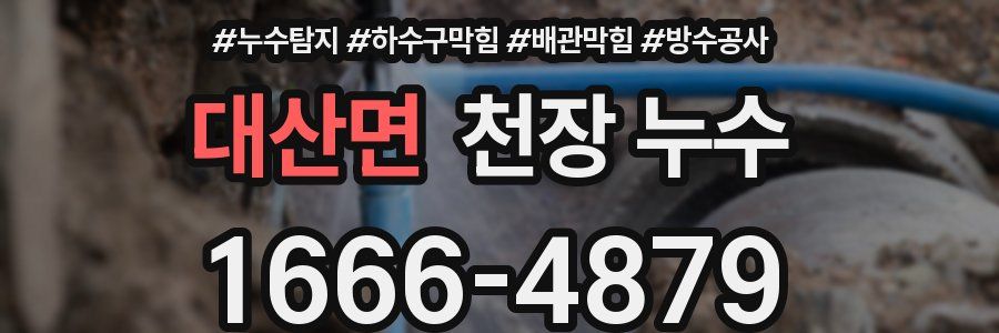 대산면 천장 누수