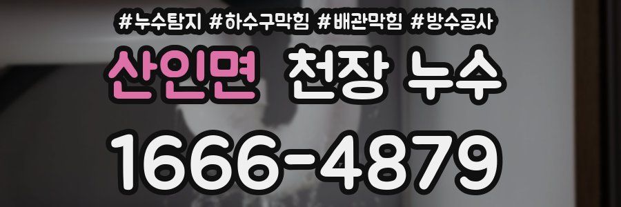 산인면 천장 누수