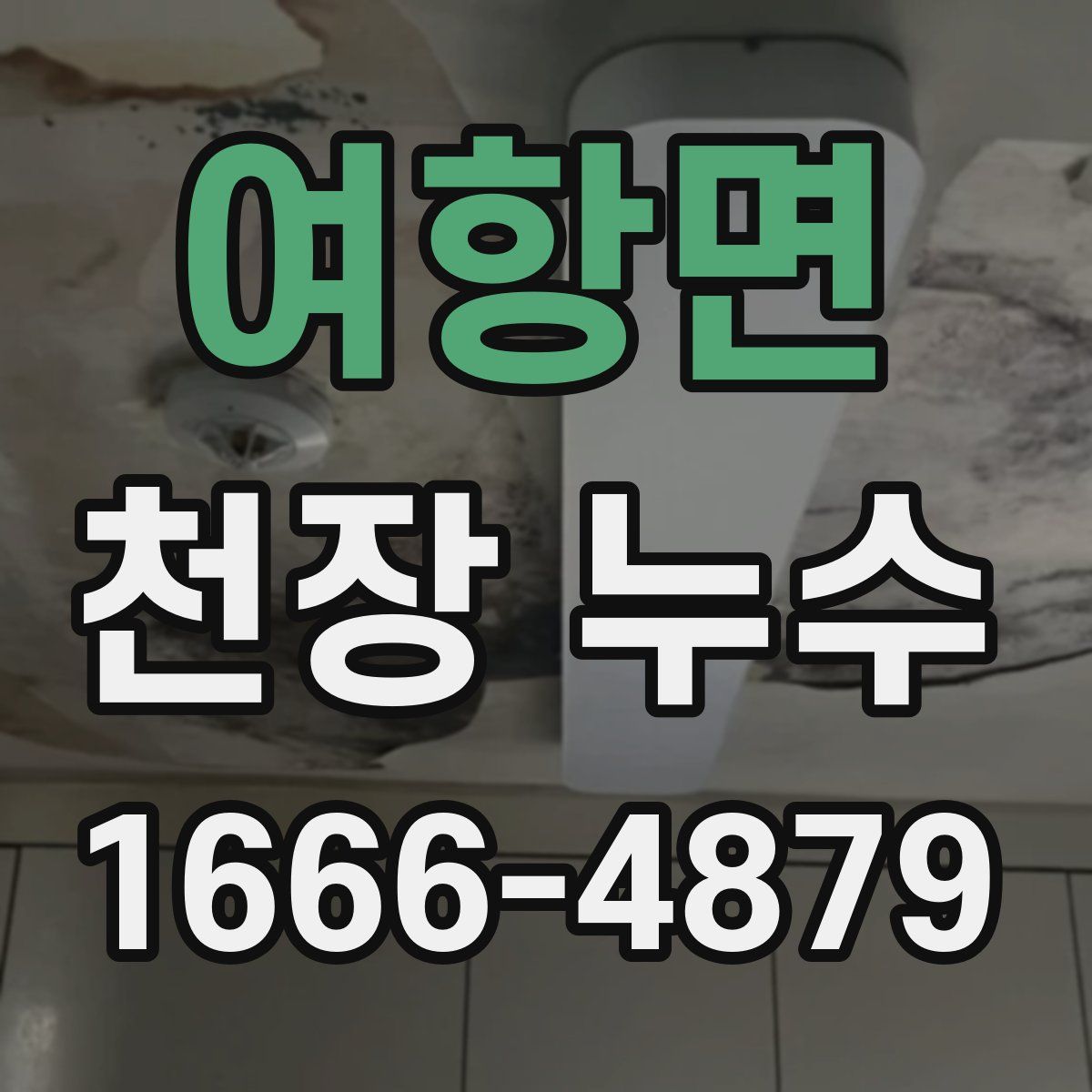 여항면 천장 누수