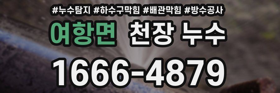 여항면 천장 누수