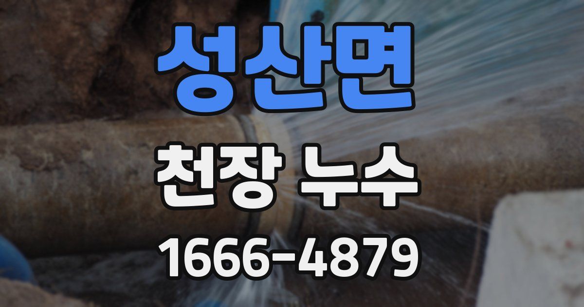 성산면 천장 누수