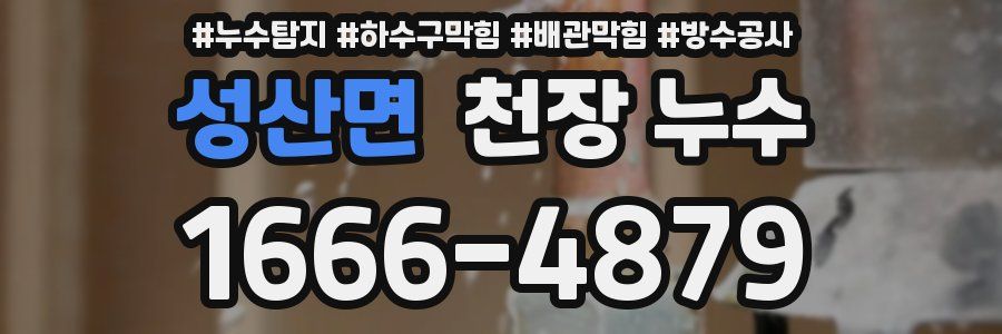 성산면 천장 누수
