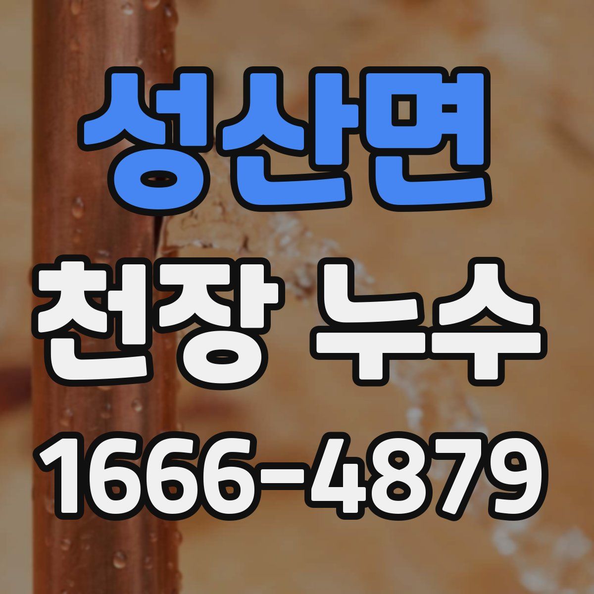 성산면 천장 누수