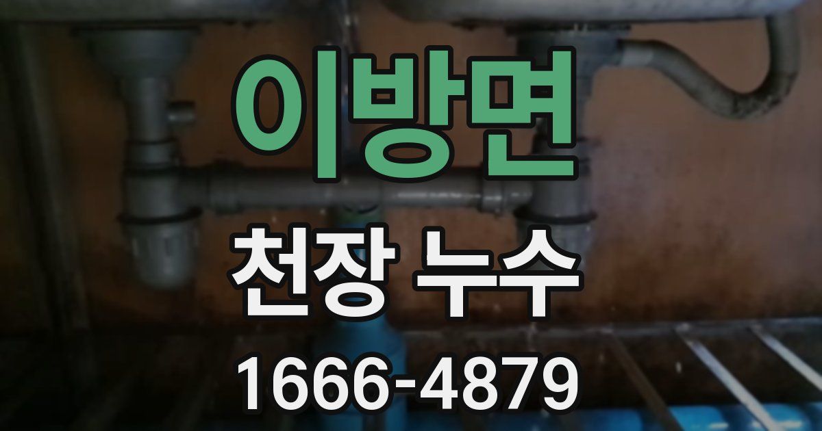 이방면 천장 누수