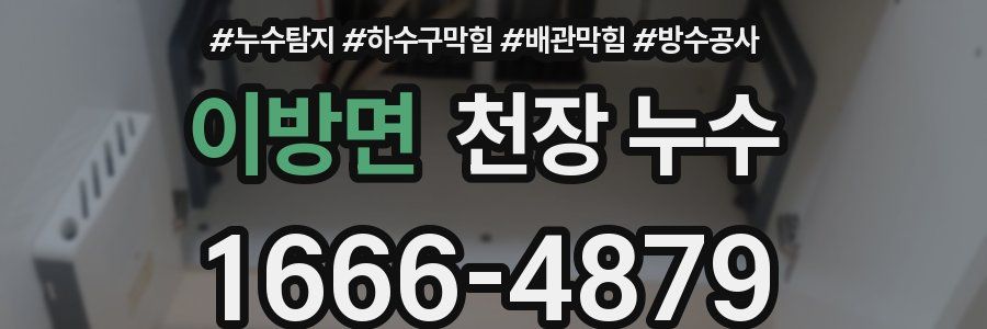 이방면 천장 누수