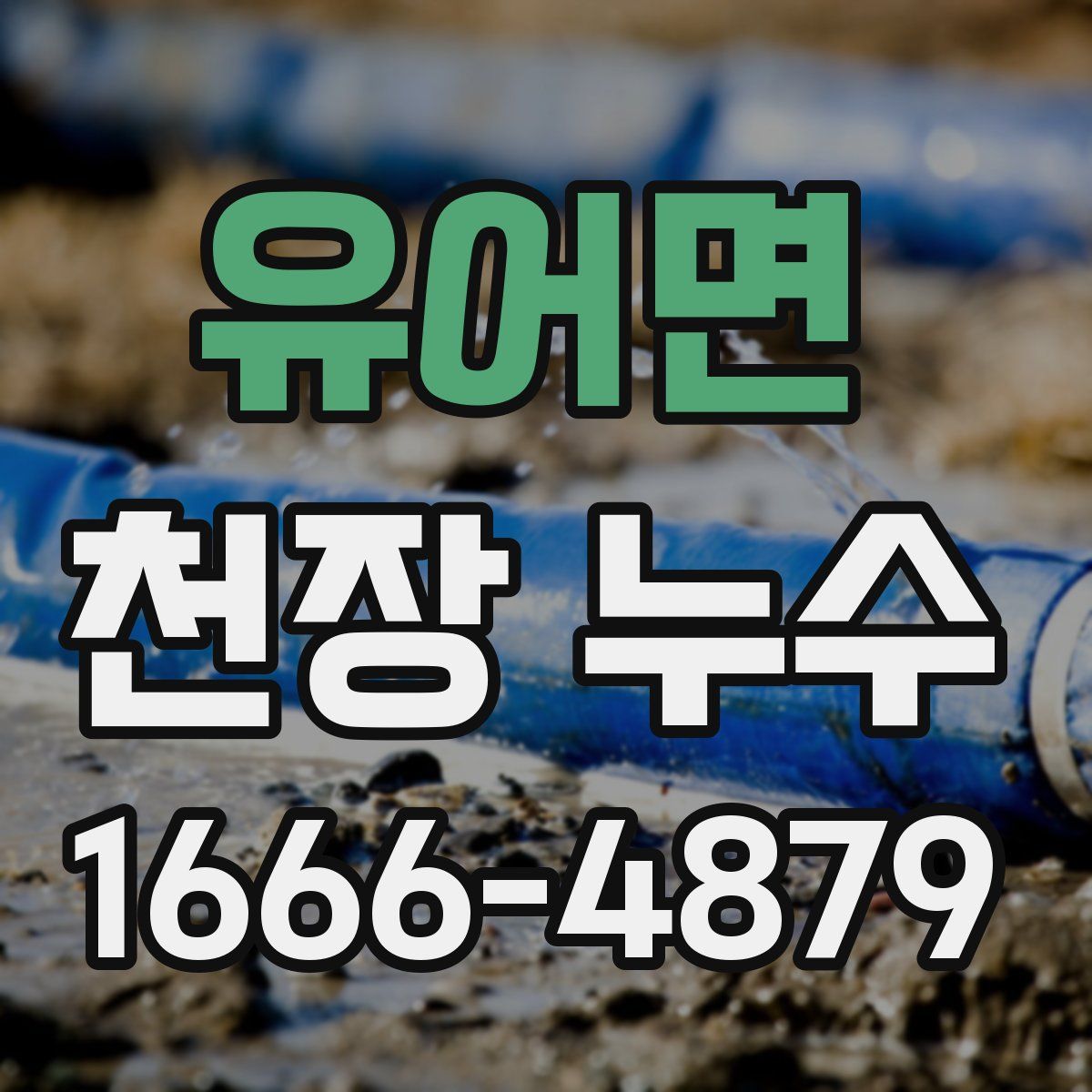 유어면 천장 누수