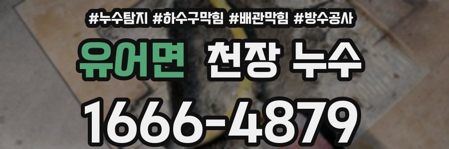 유어면 천장 누수