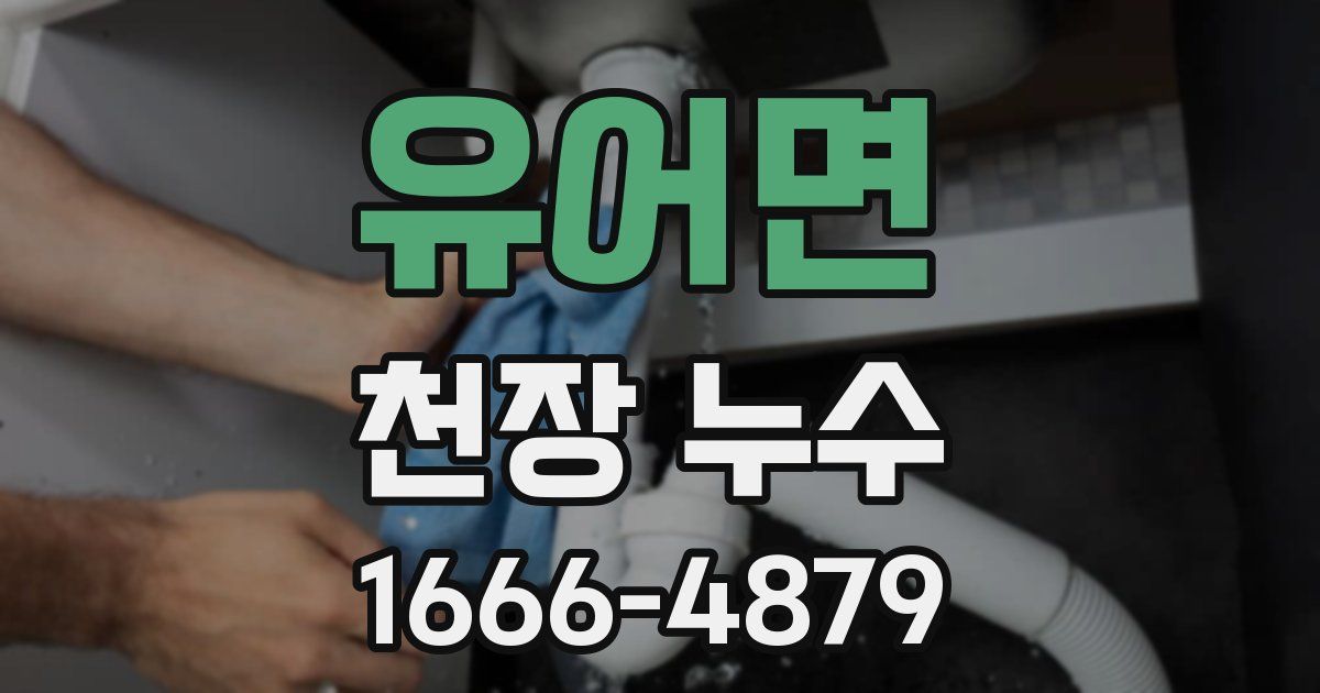 유어면 천장 누수