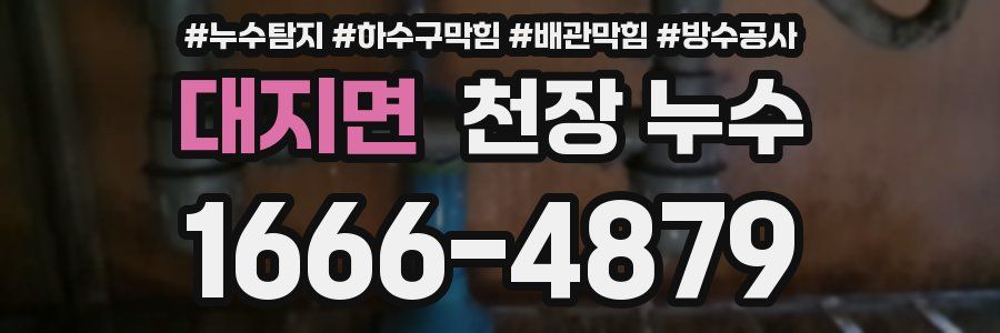 대지면 천장 누수