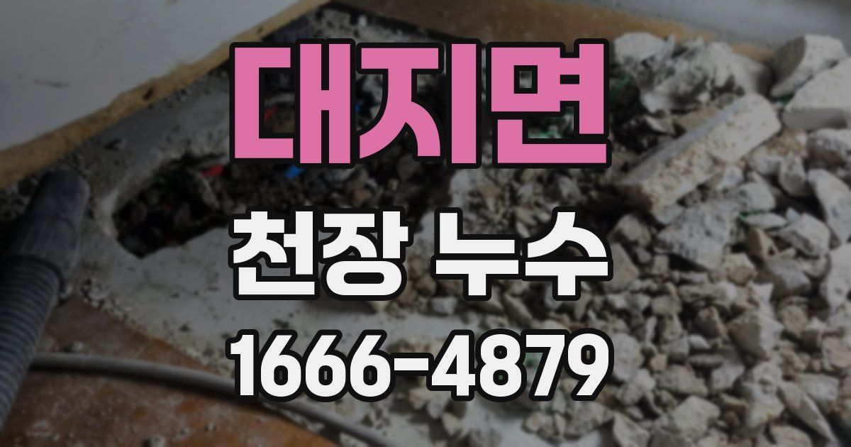 대지면 천장 누수