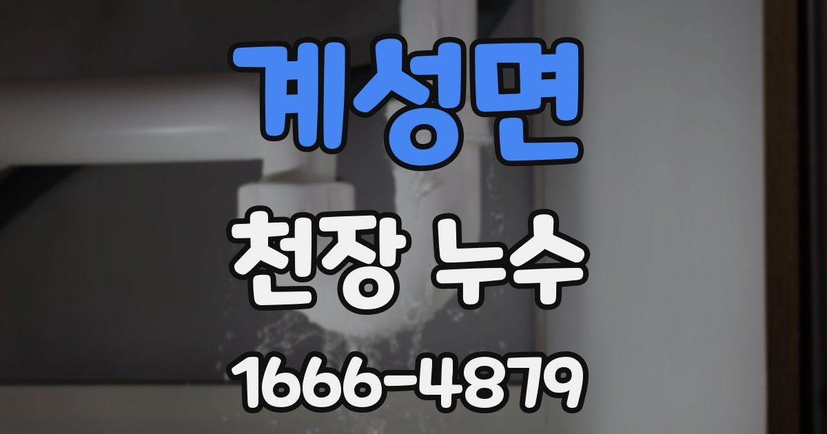 계성면 천장 누수