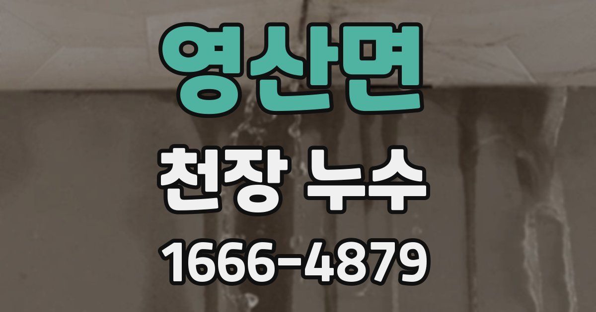 영산면 천장 누수
