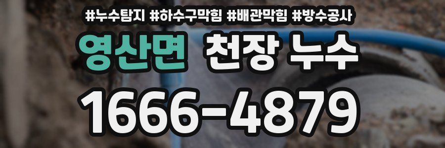 영산면 천장 누수