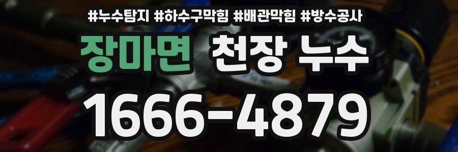 장마면 천장 누수