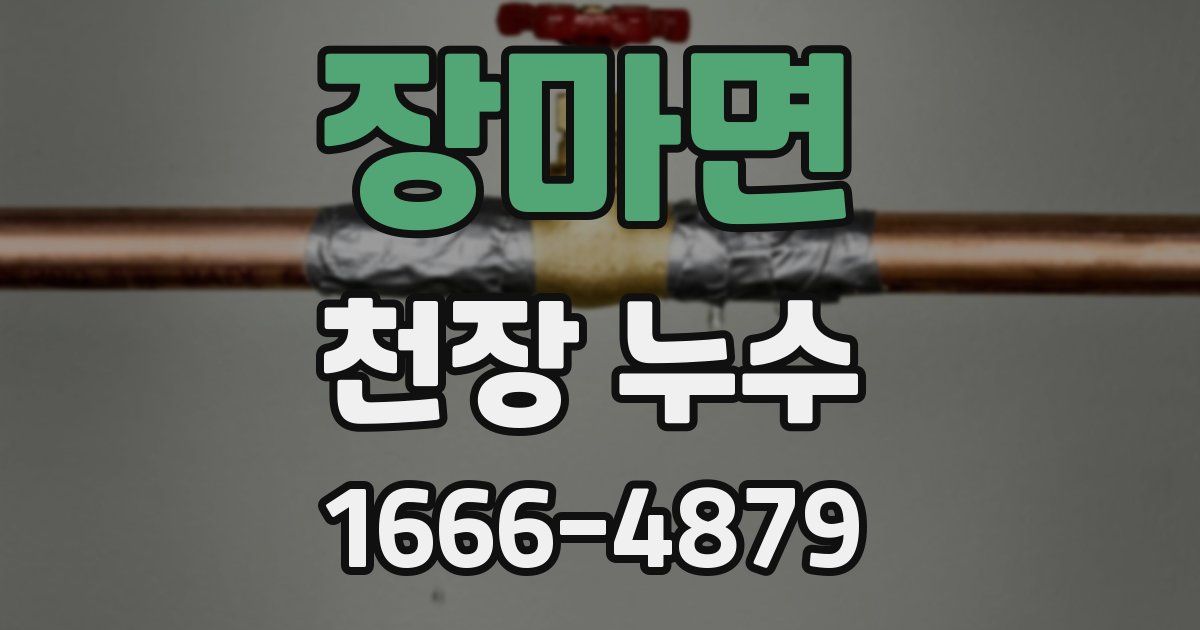 장마면 천장 누수