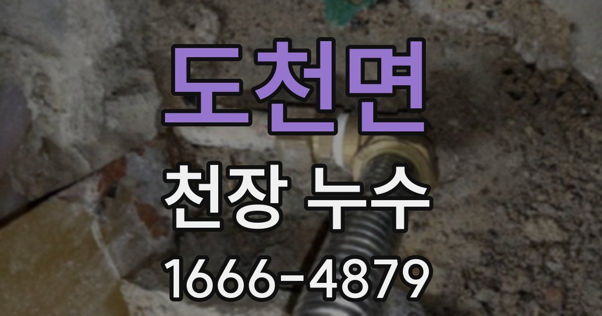 도천면 천장 누수