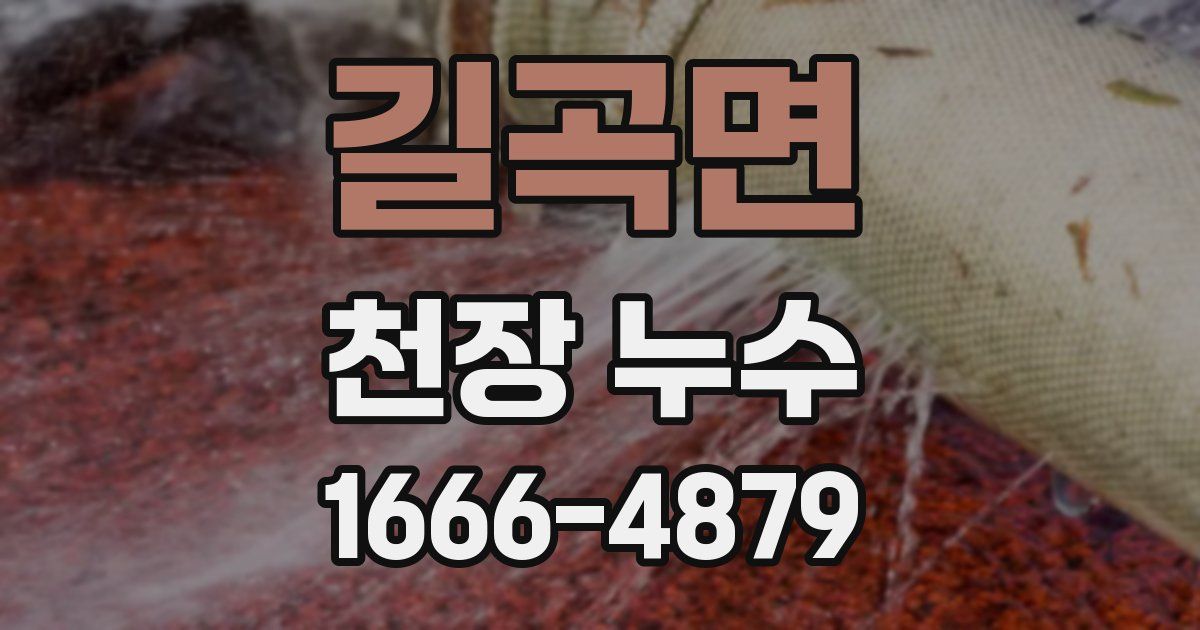 길곡면 천장 누수