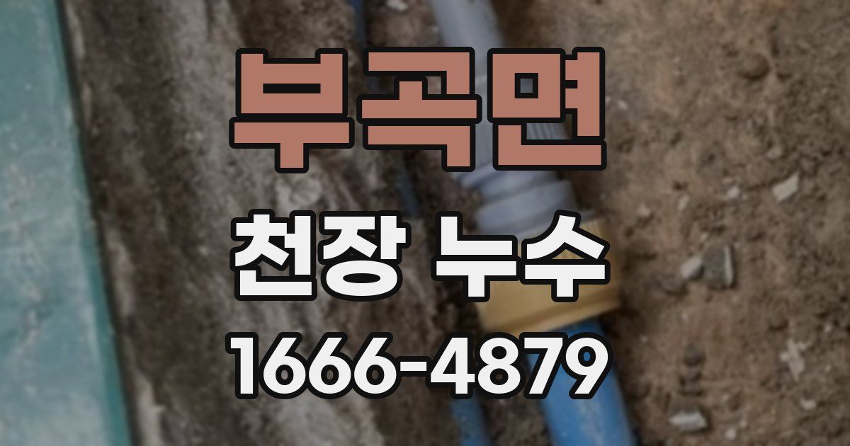 부곡면 천장 누수