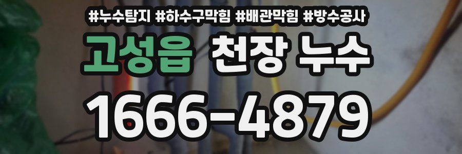 고성읍 천장 누수