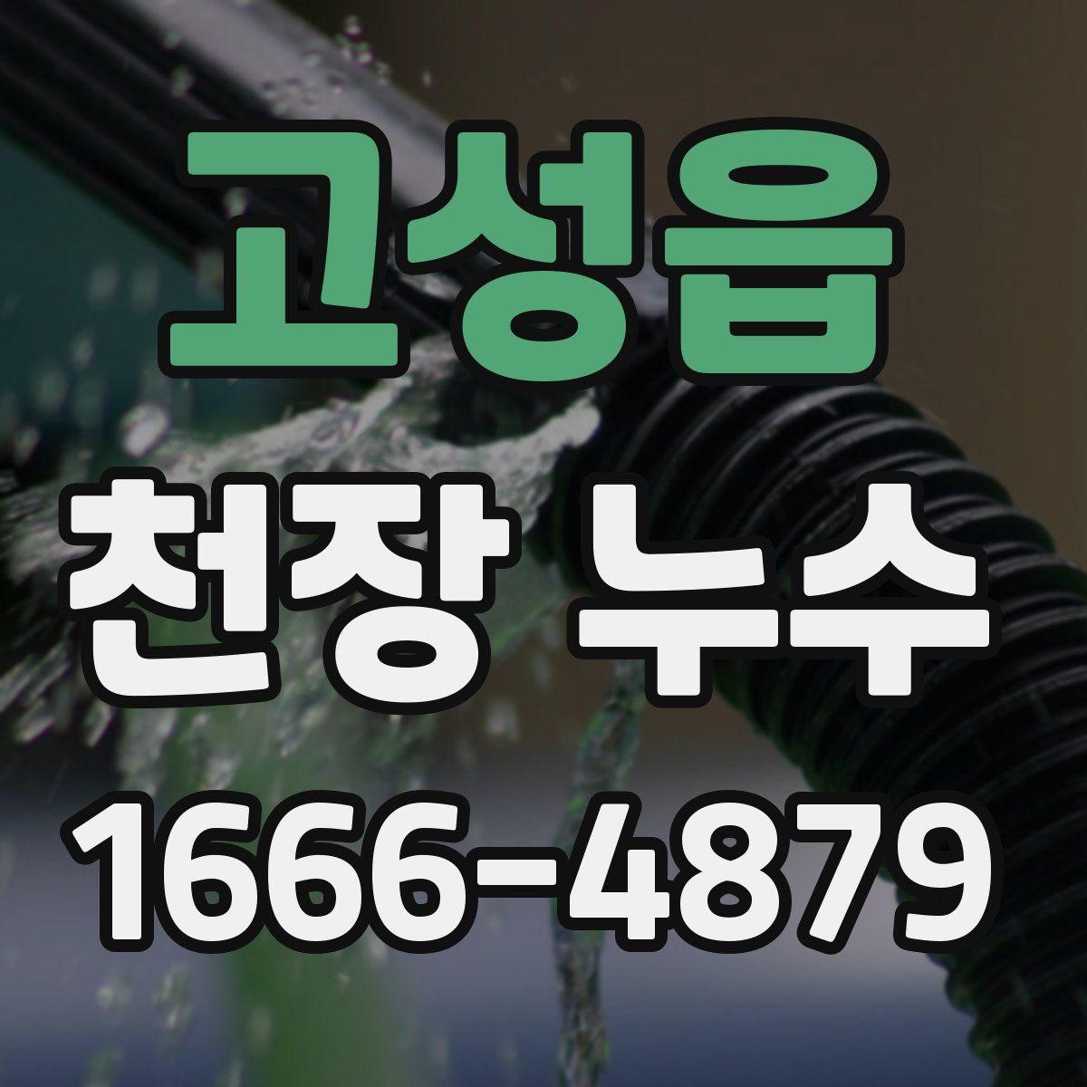 고성읍 천장 누수