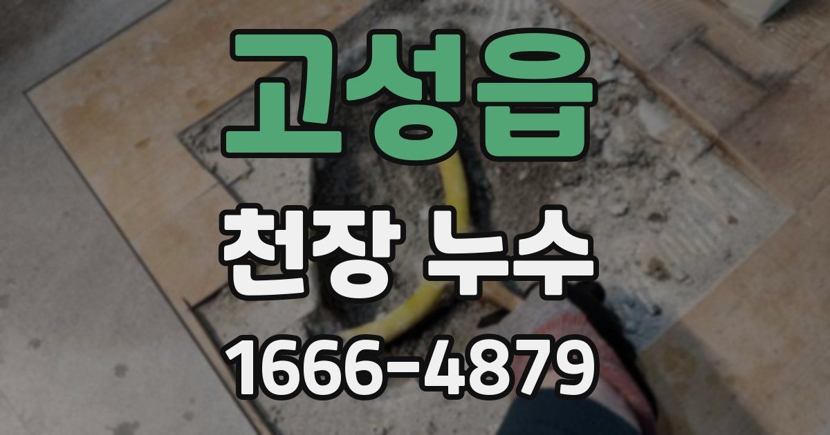 고성읍 천장 누수