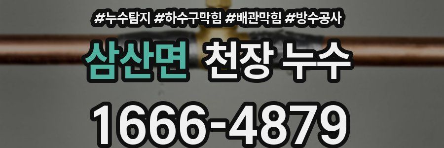 삼산면 천장 누수