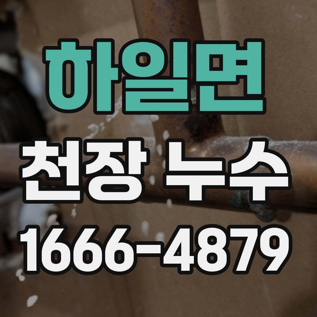 하일면 천장 누수