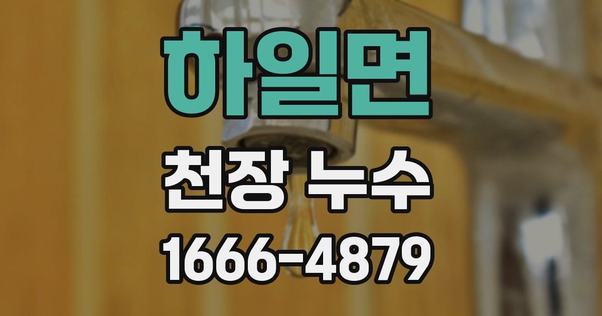 하일면 천장 누수