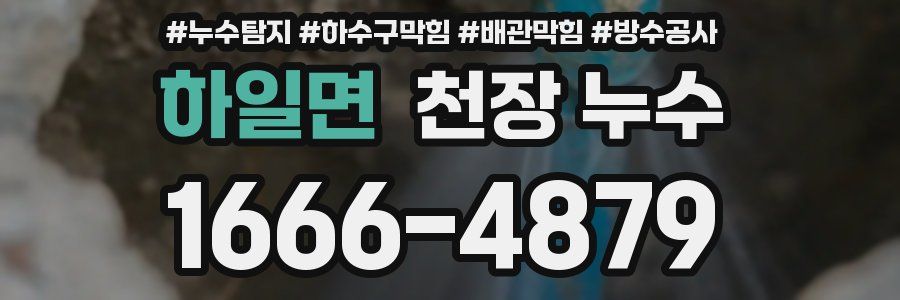 하일면 천장 누수